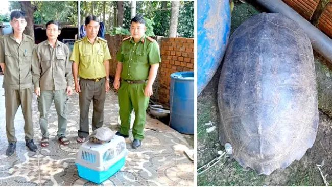 Rua dat duoc giao nop o Binh Phuoc la loai trong Sach Do