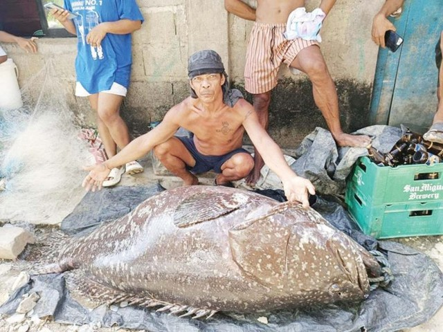 Bat ngo tom duoc 'thuy quai' khong lo, ngu dan run ban nguoi