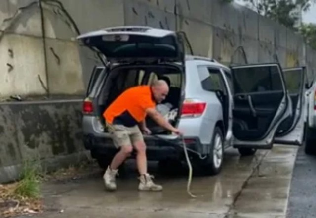 Thất kinh sinh vật cực độc trườn dưới chân khi đang lái xe - Hình 2 That kinh sinh vat cuc doc truon duoi chan khi dang lai xe-Hinh-2