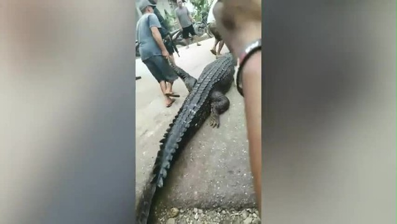 Đang rửa chân, người phụ nữ bị 'quái thú' kéo tuột xuống biển - Hình 2 Dang rua chan, nguoi phu nu bi 'quai thu' keo tuot xuong bien-Hinh-2