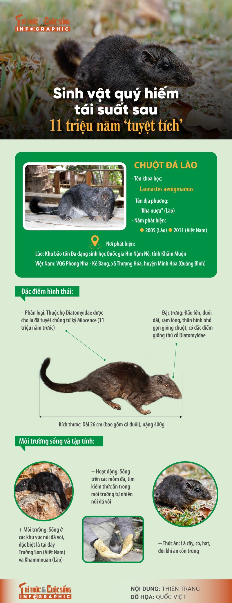 [INFOGRAPHIC] Sinh vat quy hiem tai suat sau 11 trieu nam ‘tuyet tich’