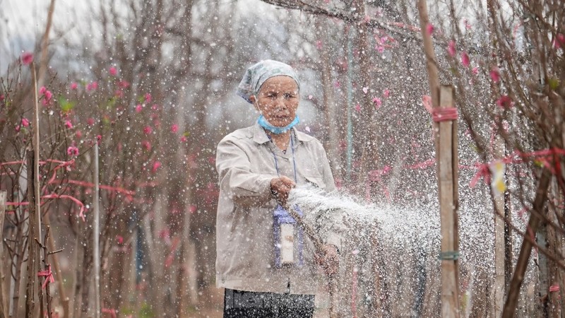 Ha Noi: Dao Nhat Tan tang gia manh, chi tien trieu van kho mua-Hinh-14