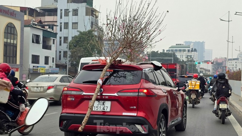 Ha Noi: Dao Nhat Tan tang gia manh, chi tien trieu van kho mua-Hinh-16