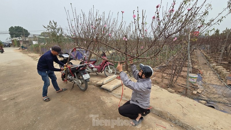 Ha Noi: Dao Nhat Tan tang gia manh, chi tien trieu van kho mua-Hinh-7