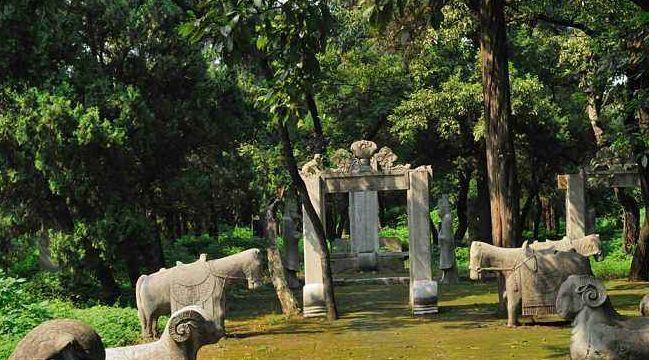 Vì sao quạ không đậu, rắn không bò quanh mộ Khổng Tử? - Hình 5 Vi sao qua khong dau, ran khong bo quanh mo Khong Tu?-Hinh-5