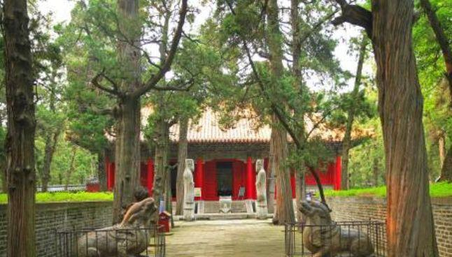Vì sao quạ không đậu, rắn không bò quanh mộ Khổng Tử? - Hình 7 Vi sao qua khong dau, ran khong bo quanh mo Khong Tu?-Hinh-7