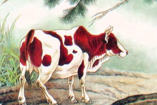 3 con giap chot loi moi tay, thanh thoi don loc suot thang 5-Hinh-12