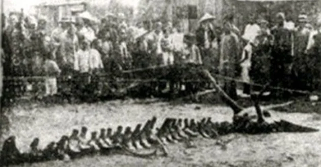 4 bi an kho giai nhat tai Trung Quoc, chuyen gia nhun nao-Hinh-7