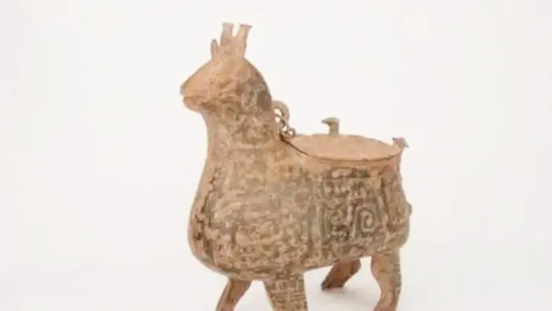 Di san cao, lao nong vo tinh dung trung “kho bau” tien ty-Hinh-4