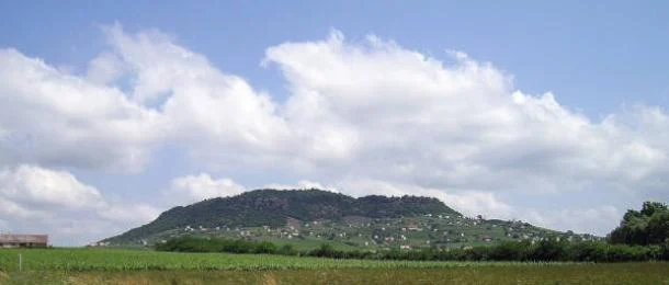 Chieu tia laser, phat hien “kho bau ky la” an tren ngon doi don doc-Hinh-5