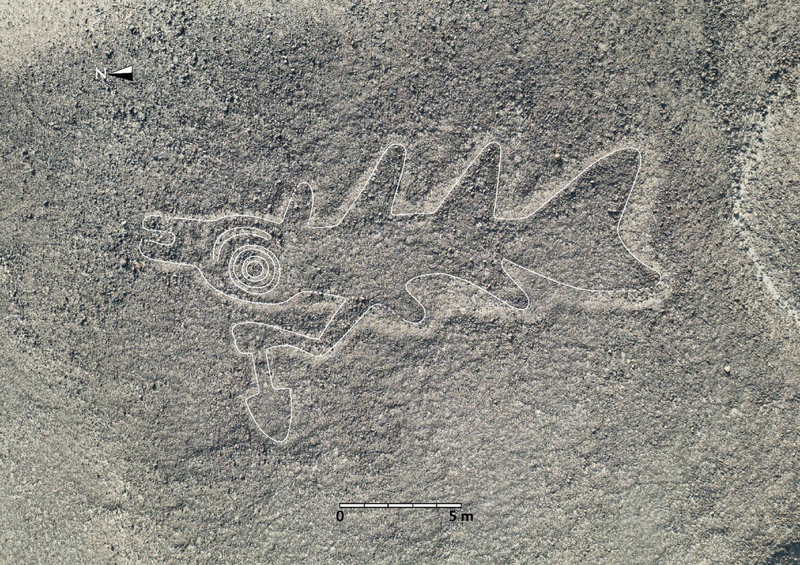 Dung AI, chuyen gia vo oa pha giai hinh ve Nazca ngan nam bi an-Hinh-5