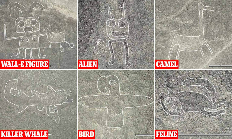 Dung AI, chuyen gia vo oa pha giai hinh ve Nazca ngan nam bi an-Hinh-7