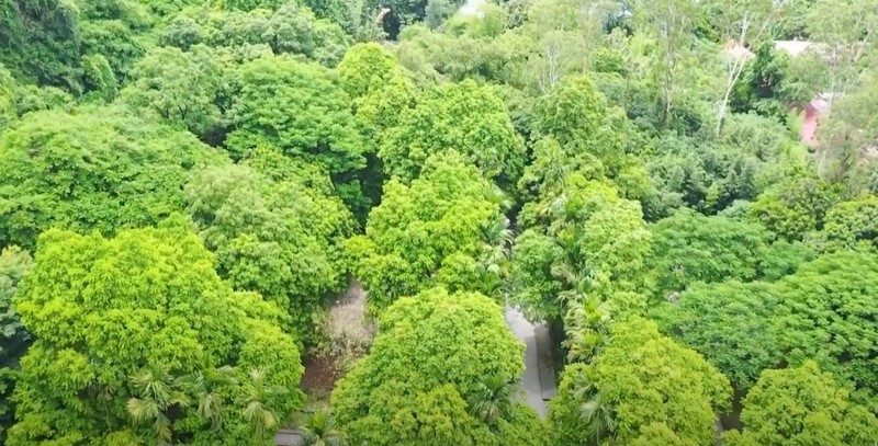 Đền Trúc - Ngũ Động Thi Sơn: Chốn yên bình bên dòng sông Đáy Den Truc - Ngu Dong Thi Son: Chon yen binh ben dong song Day