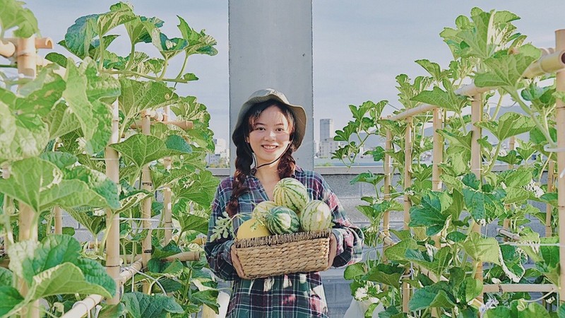 Khu vuon xanh ngat, cung cap rau cu cho ngay dich