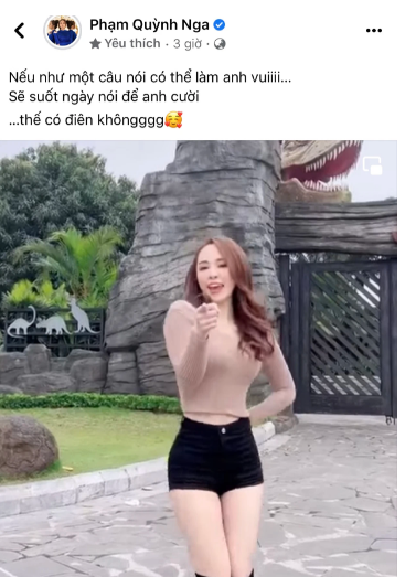 Quynh Nga vua tha thinh, Viet Anh vao dap tra 1 cau khien chinh chu can loi