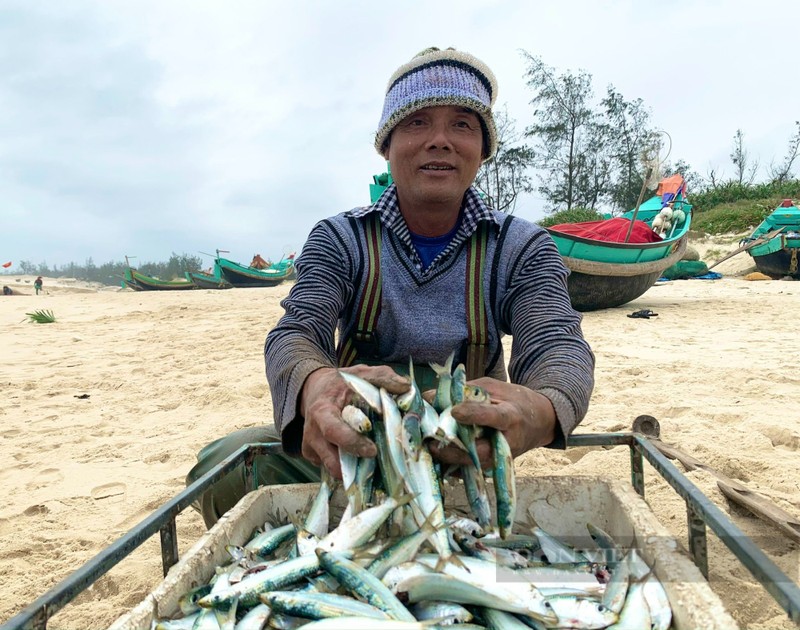 Viet Nam bat ngo thu ngay 40 trieu USD nho ban mot loai ca binh dan