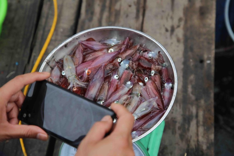 Toan than trong veo, dac san kho cuong khi ve Ha Tinh-Hinh-6