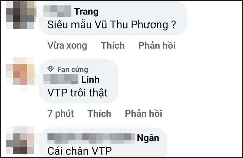That vong Vu Thu Phuong voi man catwalk 'ga mo'-Hinh-4