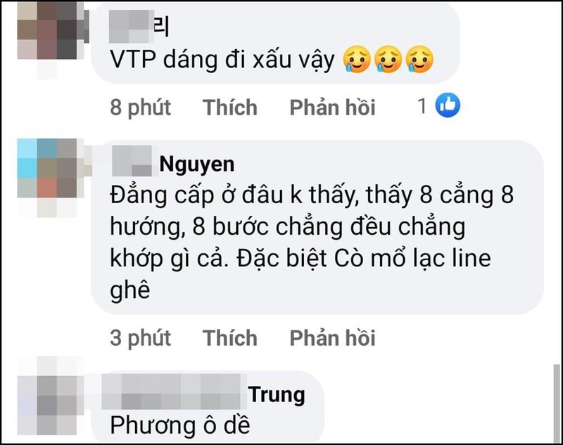 That vong Vu Thu Phuong voi man catwalk 'ga mo'-Hinh-8