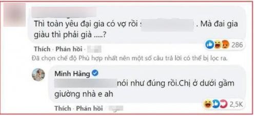 Minh Hang dap tra cuc gat khi bi mang 'cuop chong'-Hinh-4