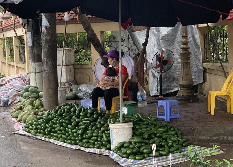 Loai qua sieu thuc pham tran cho Ha Noi, gia sieu re van e