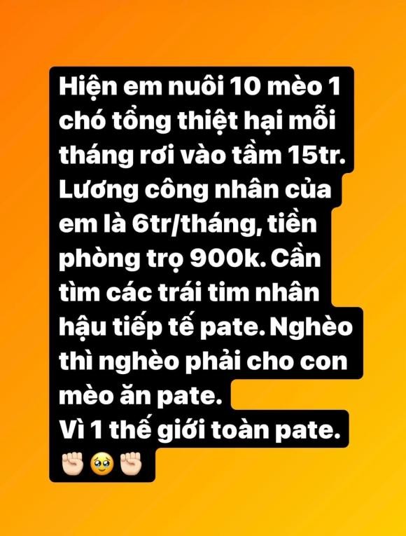 Elly Tran tiet lo so tien ton kem moi thang de nuoi cho meo-Hinh-3