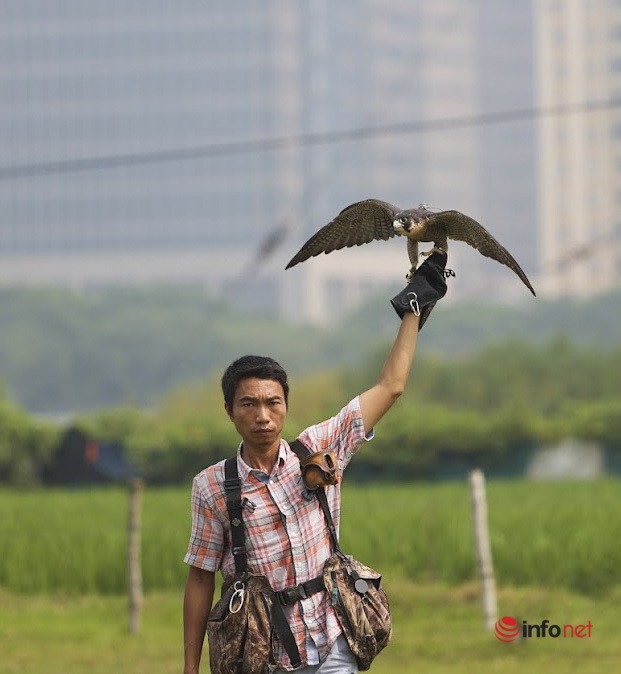 Thu choi dai bang, chim ung sat thu ton kem cua 9X Ha Noi-Hinh-3