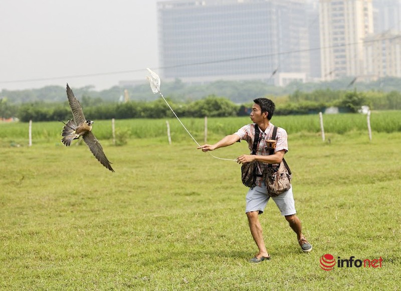 Thu choi dai bang, chim ung sat thu ton kem cua 9X Ha Noi-Hinh-7