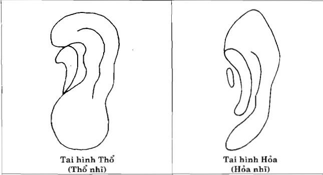 Tuong tai ky bam lo, cho dai tu minh pha tuong Troi ban-Hinh-4