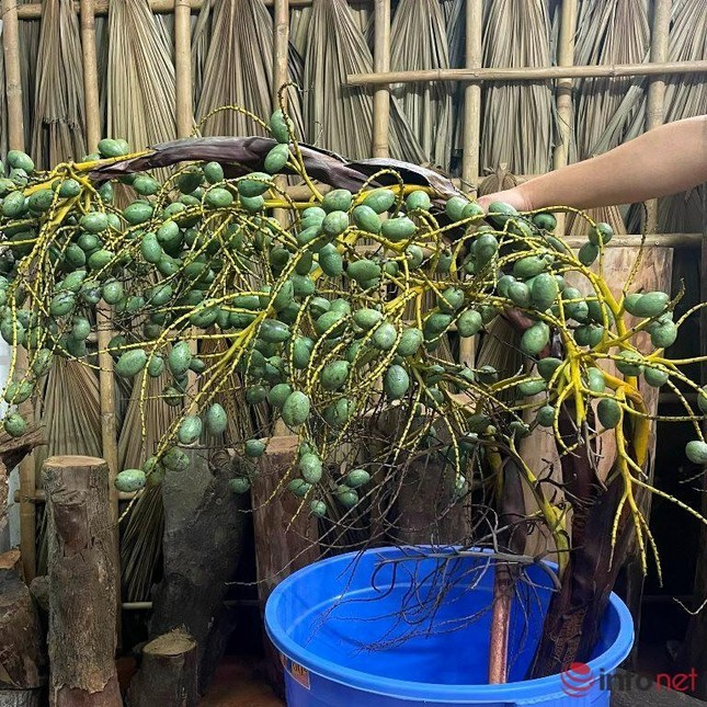 Moi la canh qua cam binh dang 'lam mua, lam gio' tren thi truong-Hinh-2