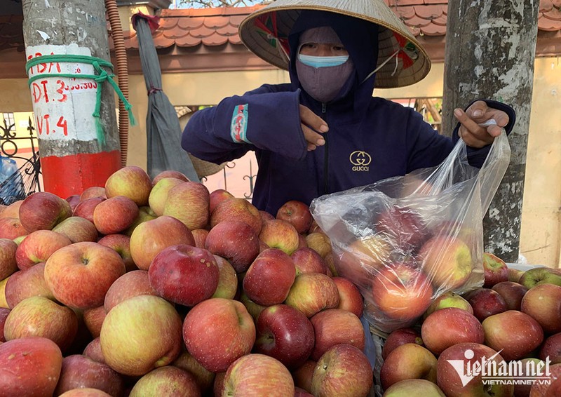 ‘Boc gia’ trai cay Trung Quoc tai cho dau moi