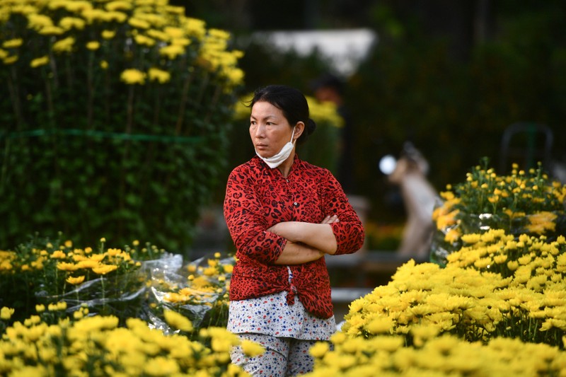 'Muoi may nam ban hoa Tet chua nam nao e nhu nam nay'-Hinh-3