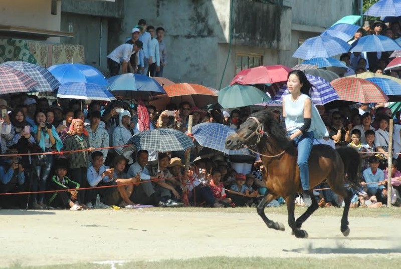 Hang nghin nguoi doi nang nong xem dua ngua o Bac Ha-Hinh-4