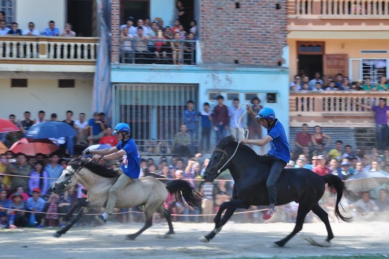 Hang nghin nguoi doi nang nong xem dua ngua o Bac Ha-Hinh-5