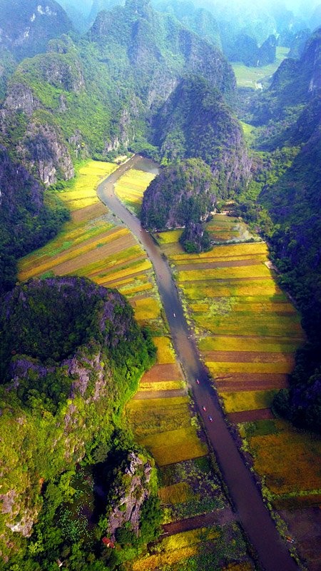 Ngo ngang ve dep &quot;than tien&quot; cua Tam Coc mua lua chin-Hinh-7