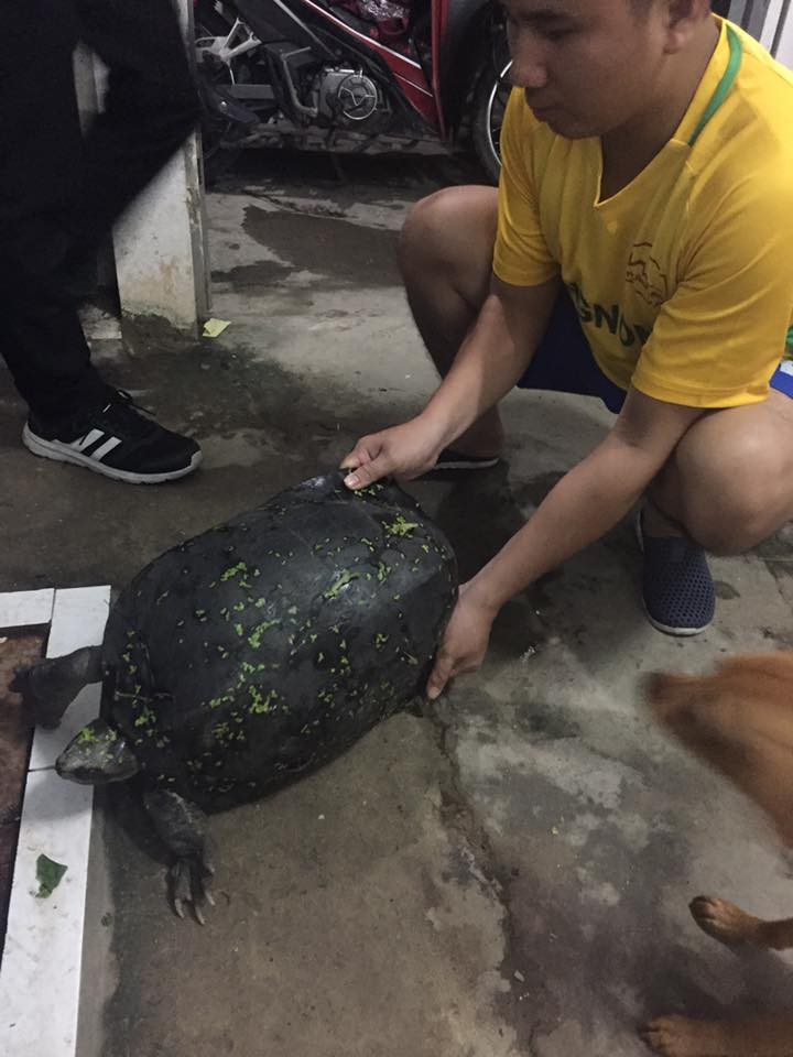 Ha Noi: Rua la bo len bo “go cua” nha dan luc nua dem