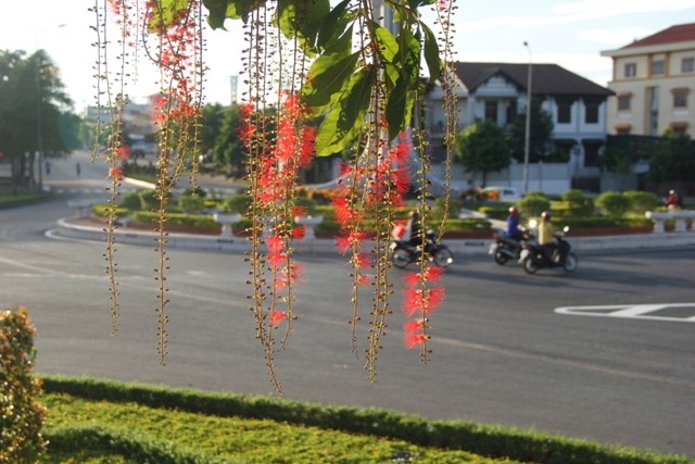 Mot goc ruc ro o “thanh pho hoa loc vung”-Hinh-4