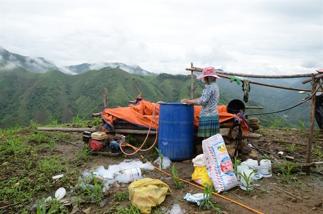 Kinh hoang canh tuong thuoc doc tran ngap vung cao Son La-Hinh-3