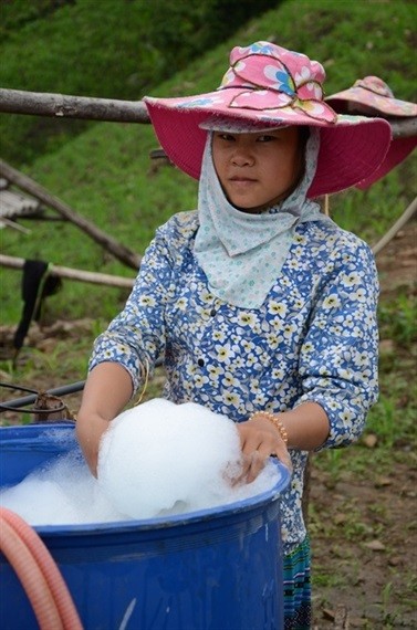 Kinh hoang canh tuong thuoc doc tran ngap vung cao Son La