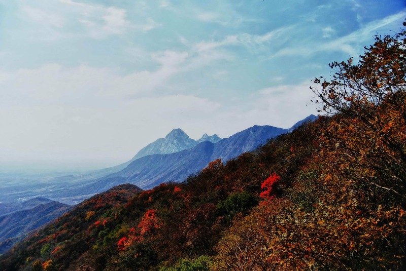 Dai ban doanh co thuc cua 8 mon phai “Tieu ngao giang ho”-Hinh-9