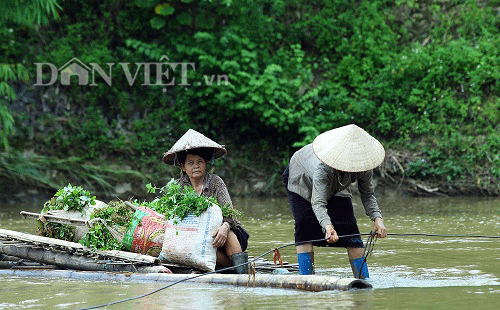 Dien Bien: Giua mua lu, dan lieu minh vuot suoi nho day thep mong