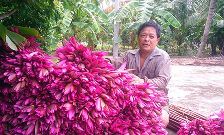 Thu nhap vai chuc trieu dong/nam nho trong bong sung do an choi