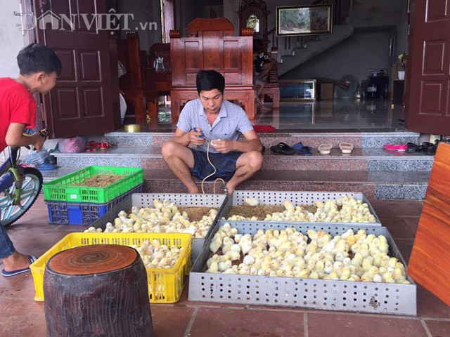 Kiem hang tram trieu nho tuyet chieu thu tinh nhan tao cho ga-Hinh-4