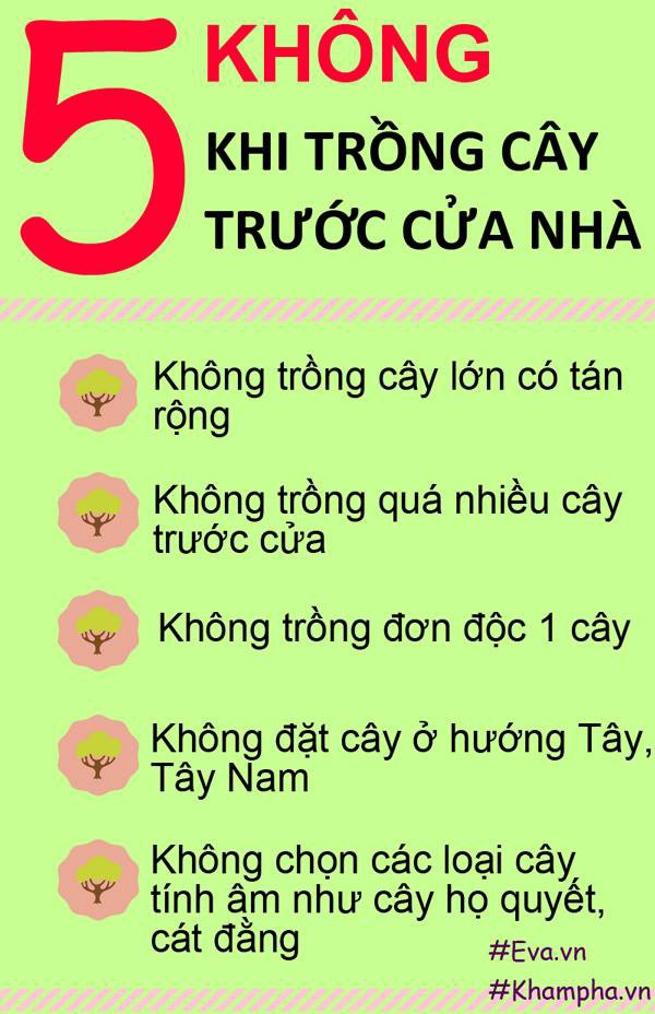 Nhung loai cay khong nen trong truoc cua nha de tranh gap hoa-Hinh-2