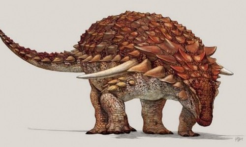 Khung long ankylosaurs dung mau da de nguy trang tron ke thu