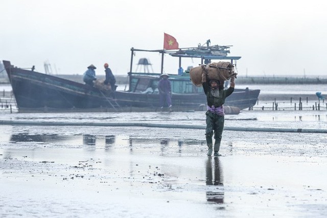 Gian nan nghe cao ngao thue o Dong Chau: Kiem tien trieu dau co de-Hinh-12