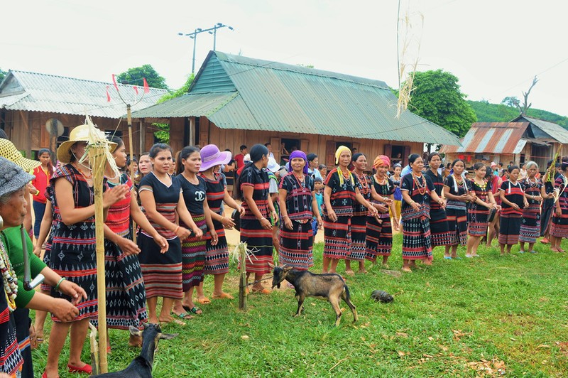 Nguoi Pa Co dam trau trong le hoi 10 nam moi co mot lan-Hinh-5