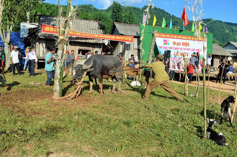 Nguoi Pa Co dam trau trong le hoi 10 nam moi co mot lan-Hinh-8