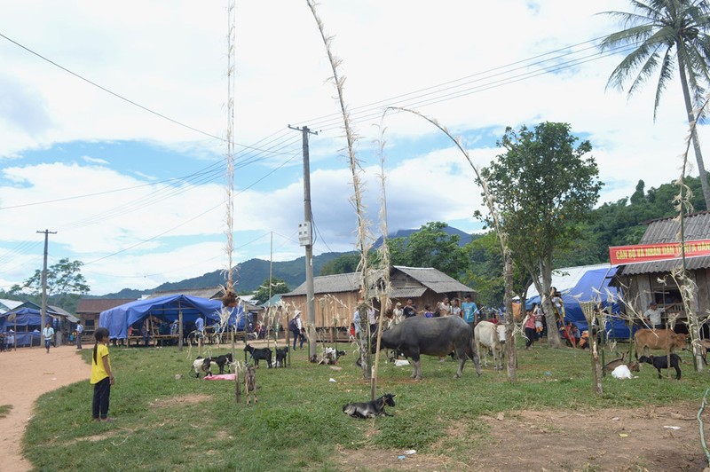 Nguoi Pa Co dam trau trong le hoi 10 nam moi co mot lan