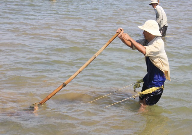 &quot;Bi kip&quot; bat don - dac san khoai khau cua nguoi Quang Ngai-Hinh-4